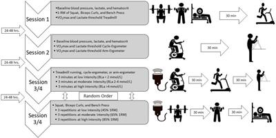 Differences in Blood Flow Patterns and Endothelial Shear Stress at the Carotid Artery Using Different Exercise Modalities and Intensities